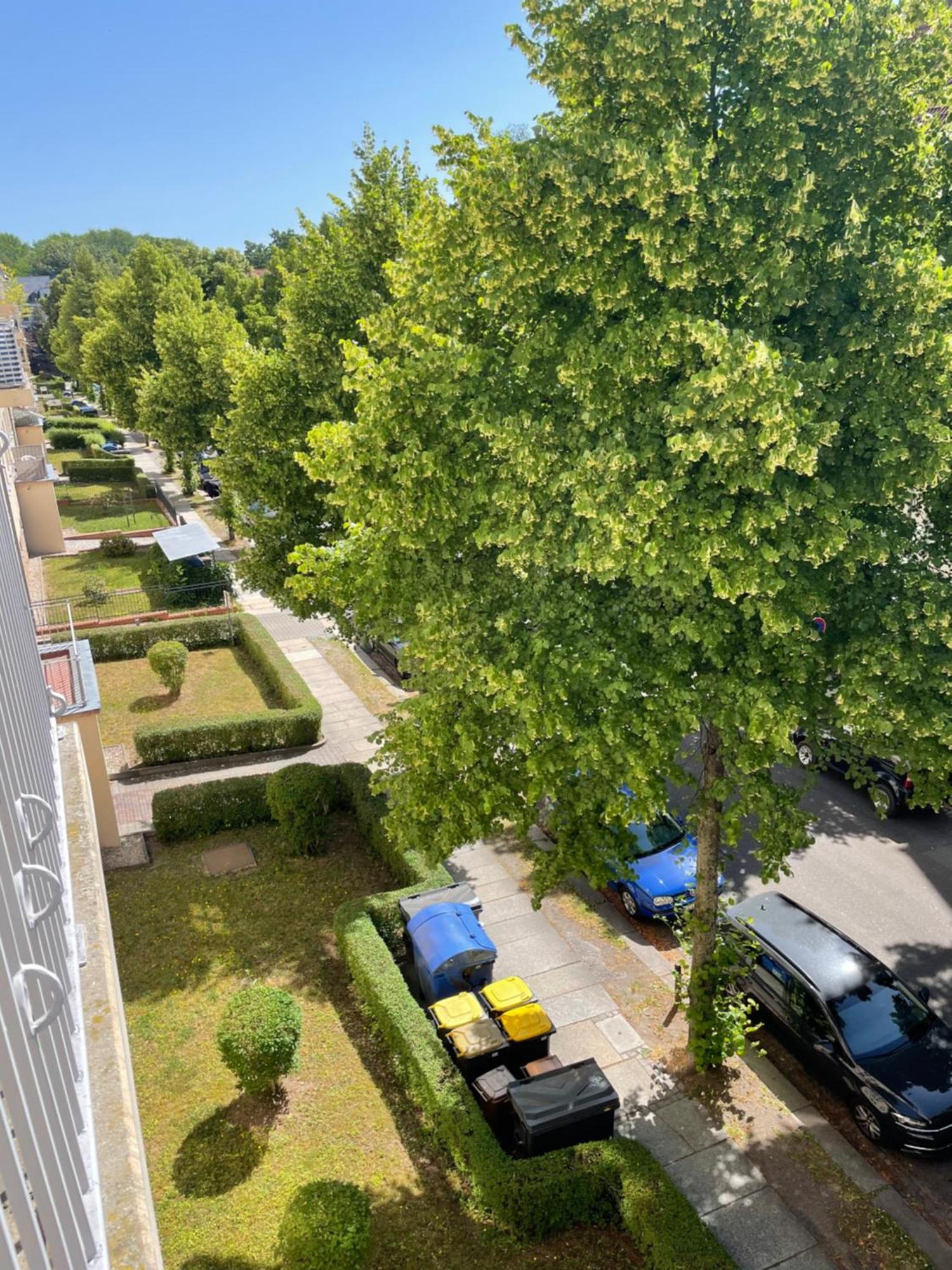 Ruhige Maisonettewohnung Auf Dem Kassberg Chemnitz Ngoại thất bức ảnh